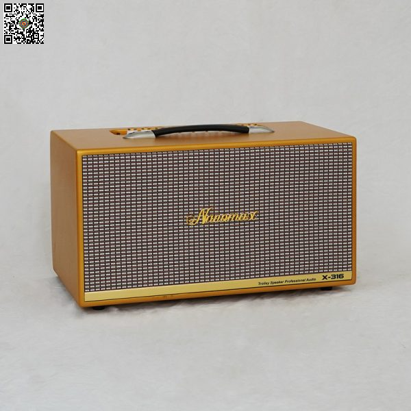 loa-karaoke-xach-tay-nanomax-x-316-1-6-600x600